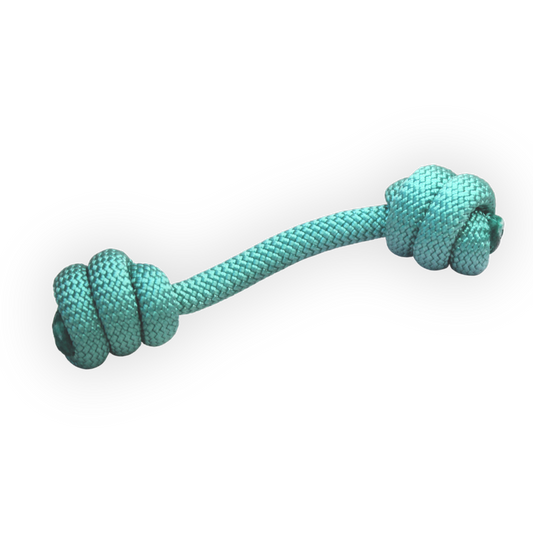 Pastel Paws - Mint