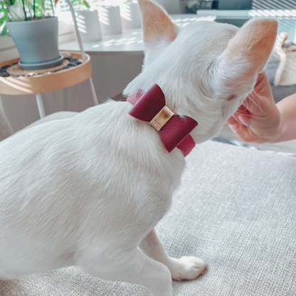 Furever Merlot